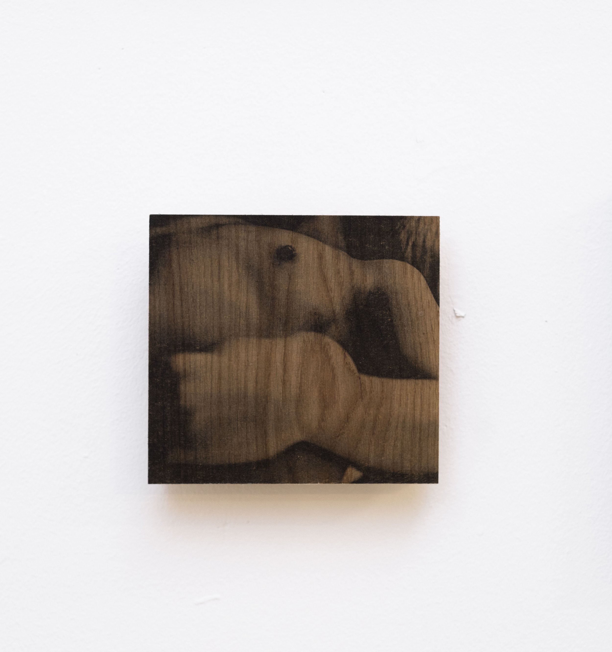 NO 10. Houtprint 20x21 €245 