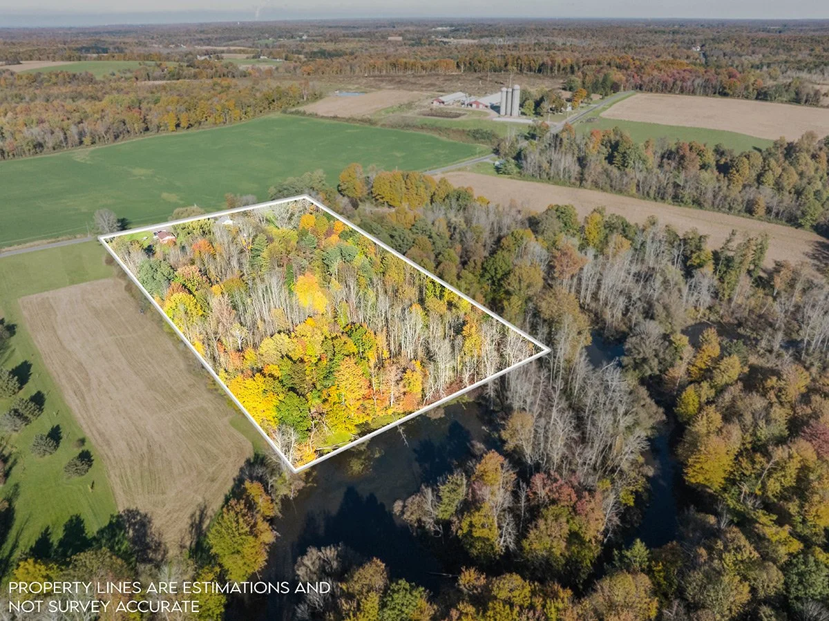 1782-Moroney-RoadProperty-Lines-(3-of-4).jpg