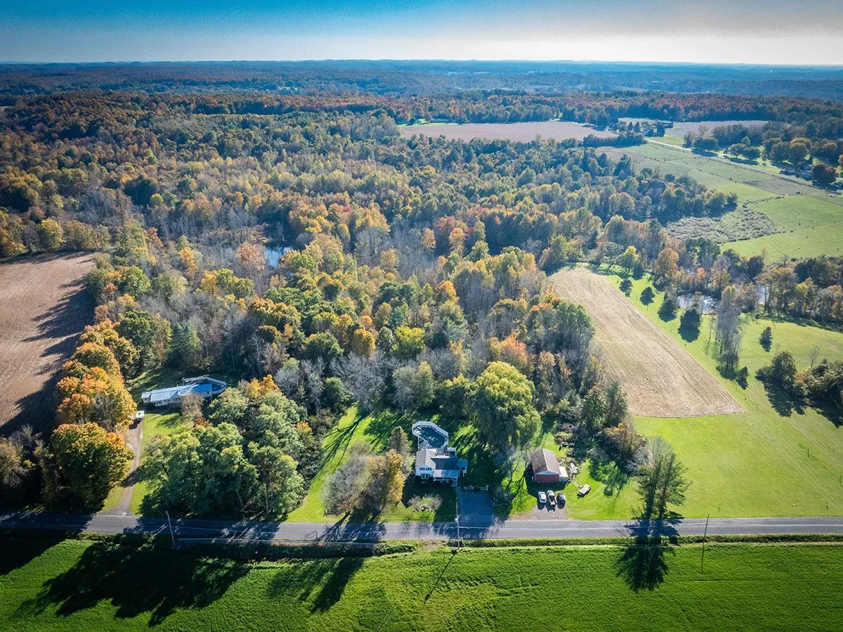 1782-Moroney-Road-(19-of-51).jpg