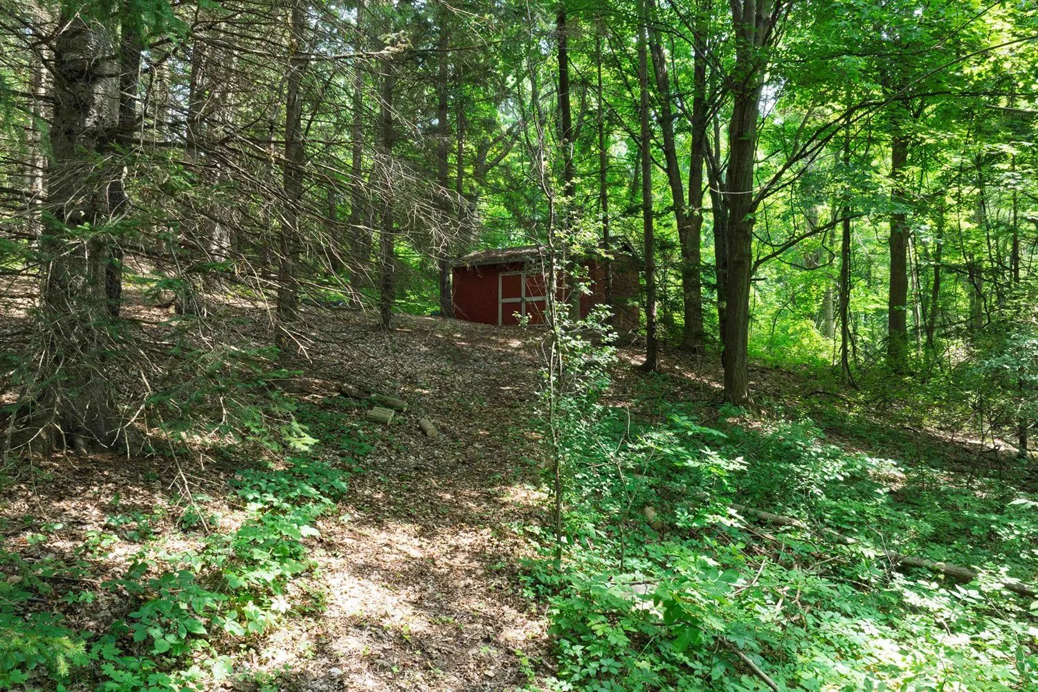 Outdoor-Studios__5150-Hamilton-Road,-Elbridge-60.jpg