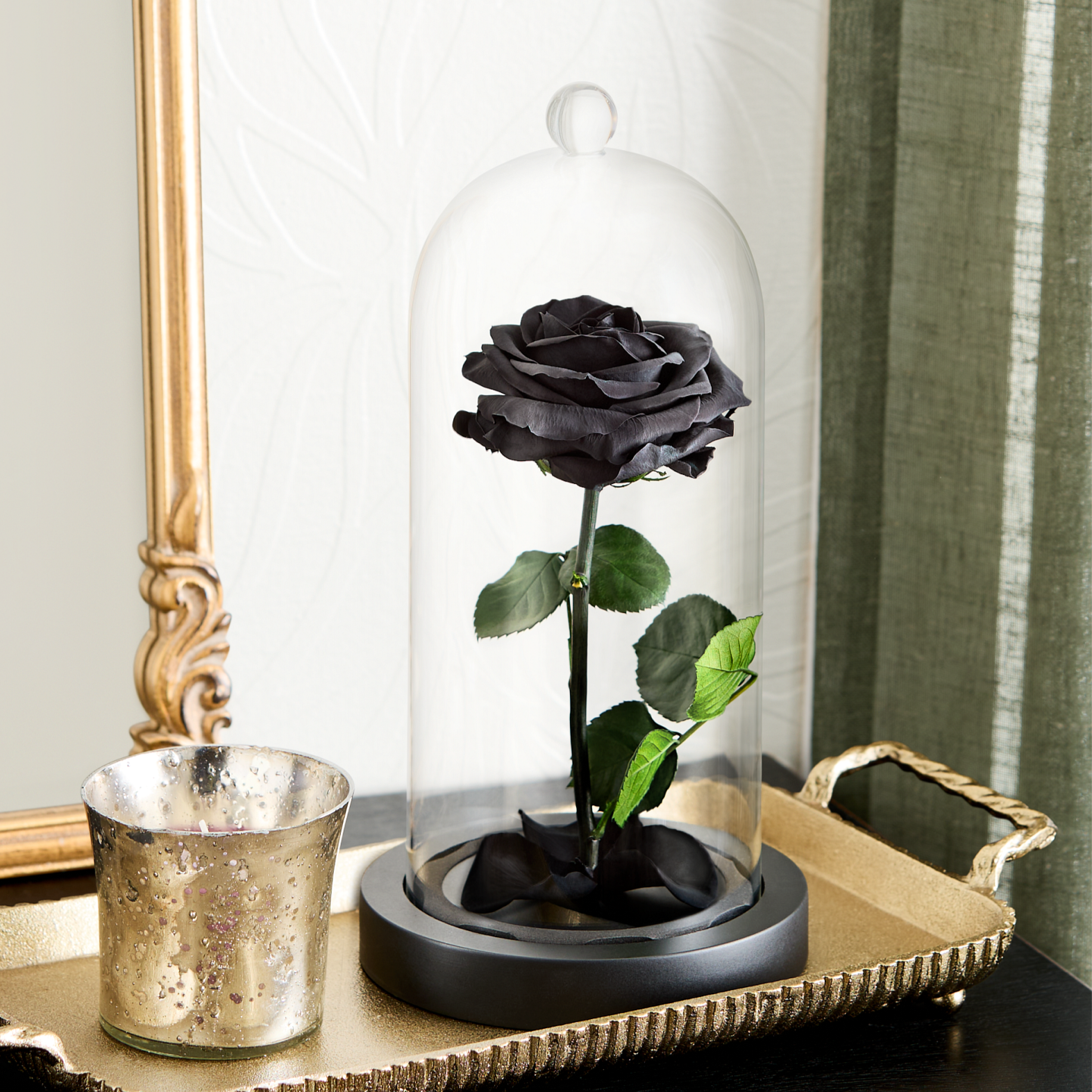 Enchanted Beauty™ by Magnificent Roses® Black