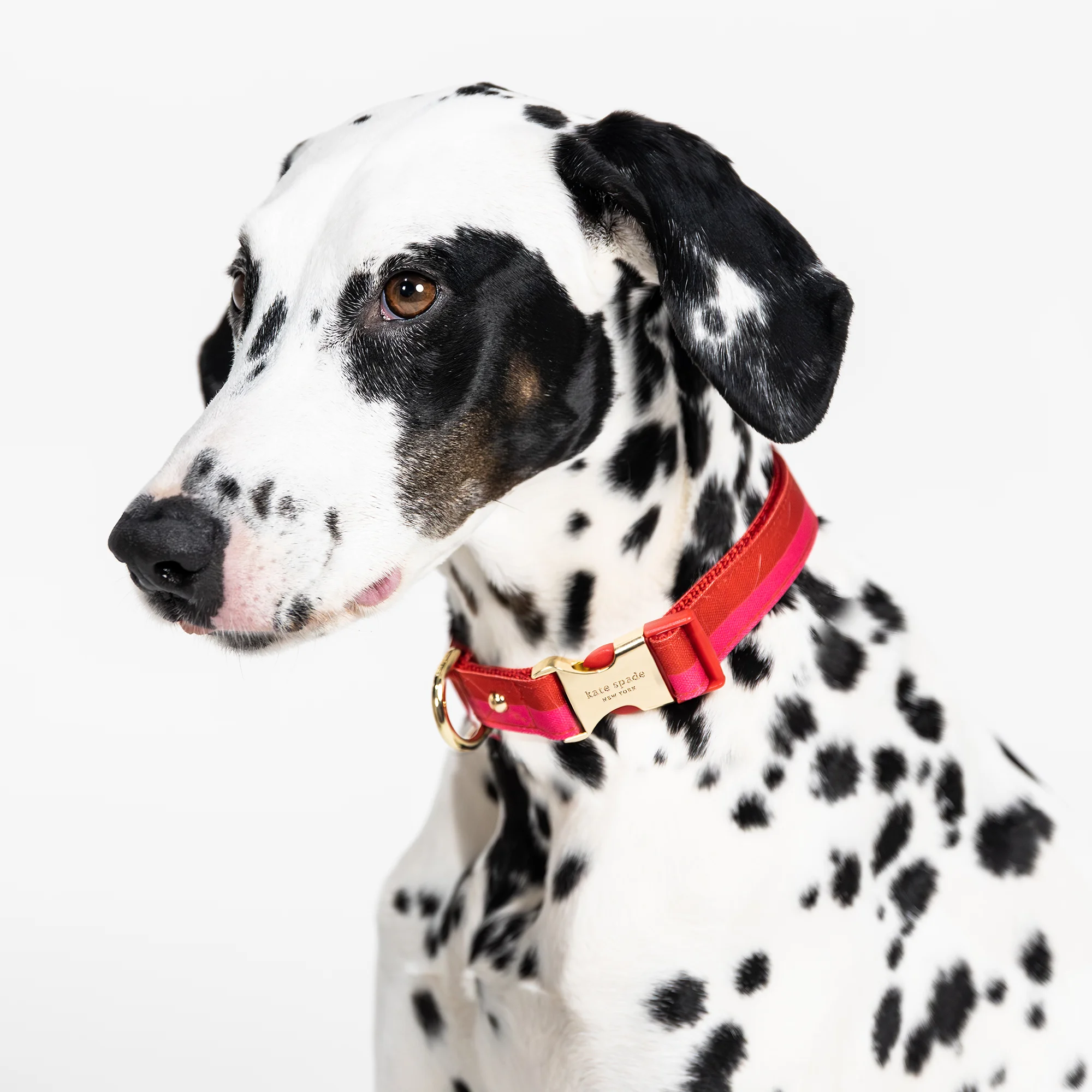 kate spade new york Embroidered Red & Pink Colorblock Collar