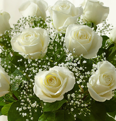 Screenshot 2024-03-11 at 1.03.29 PM.png