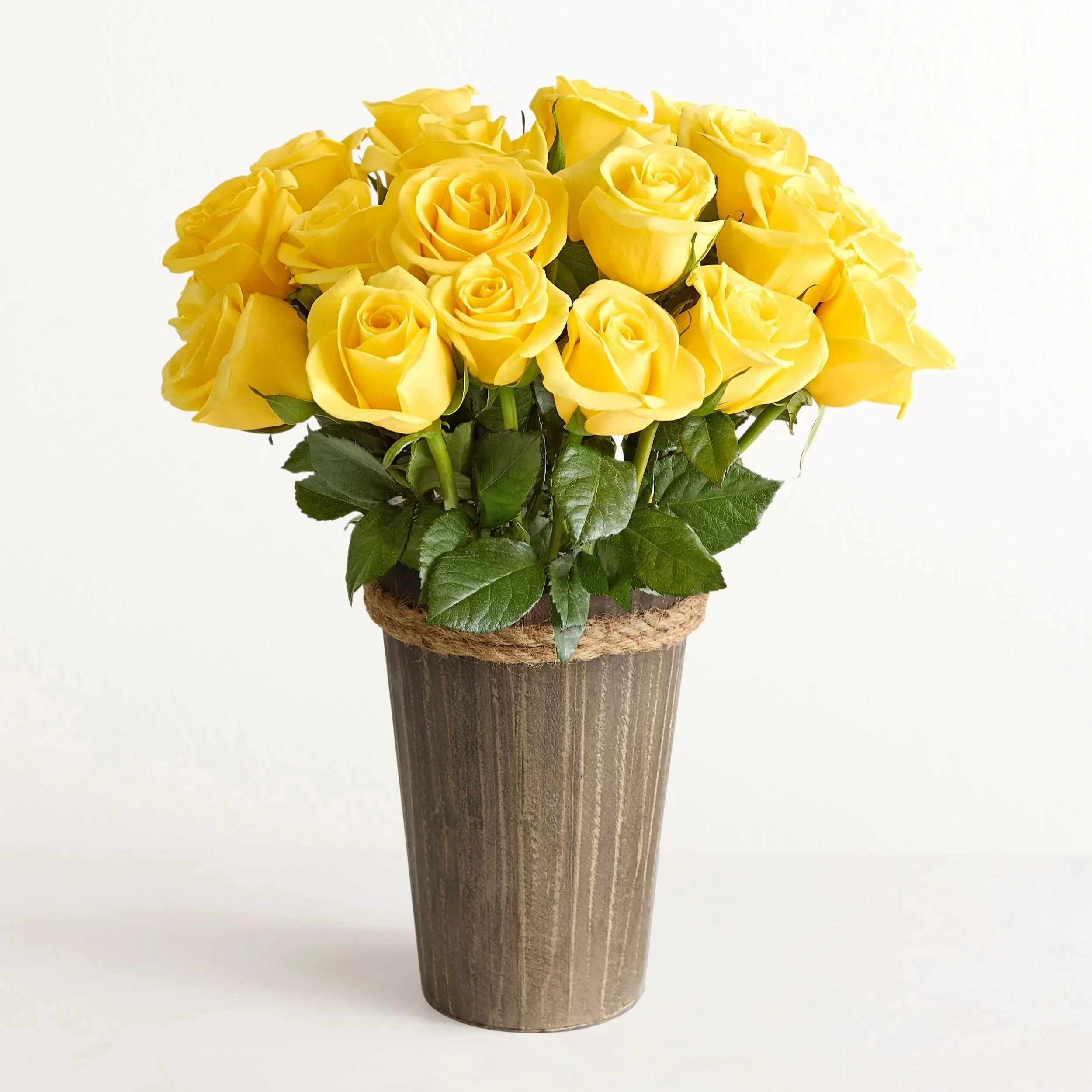 Yellow Roses