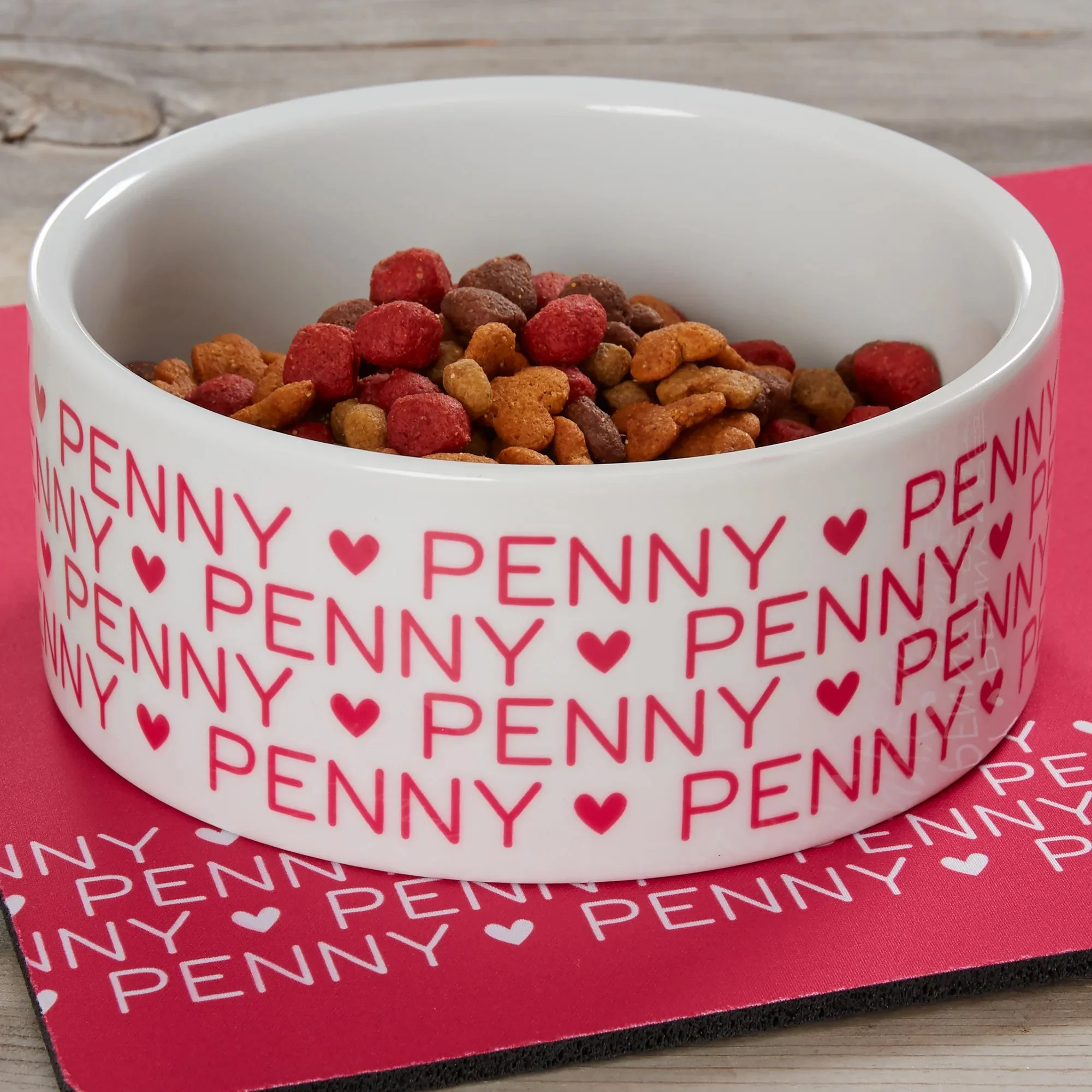 Pet Repeating Name Personalized Dog Bowl