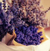 Screenshot 2024-03-11 at 1.02.54 PM.png