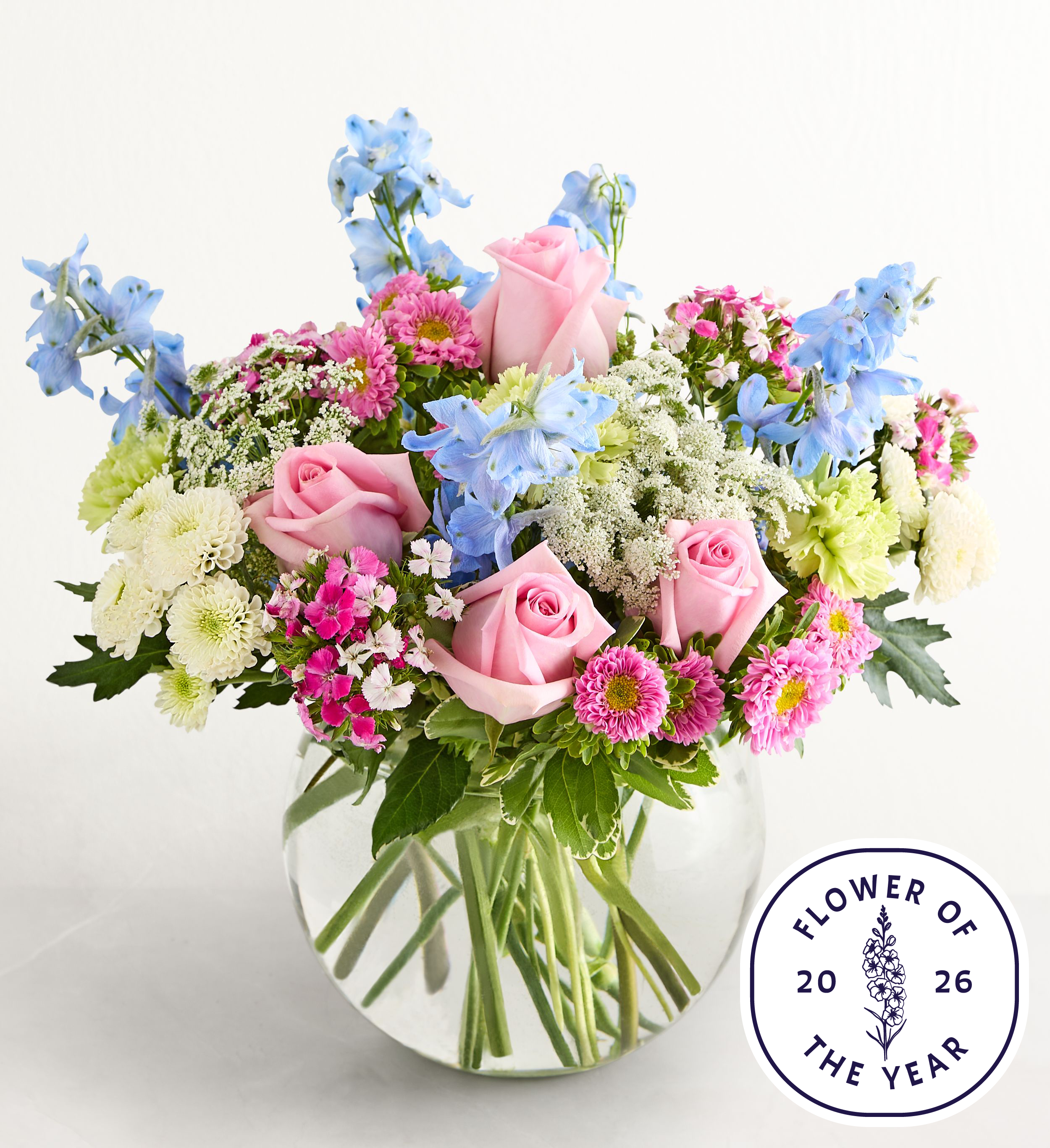 Delphinium Garden™