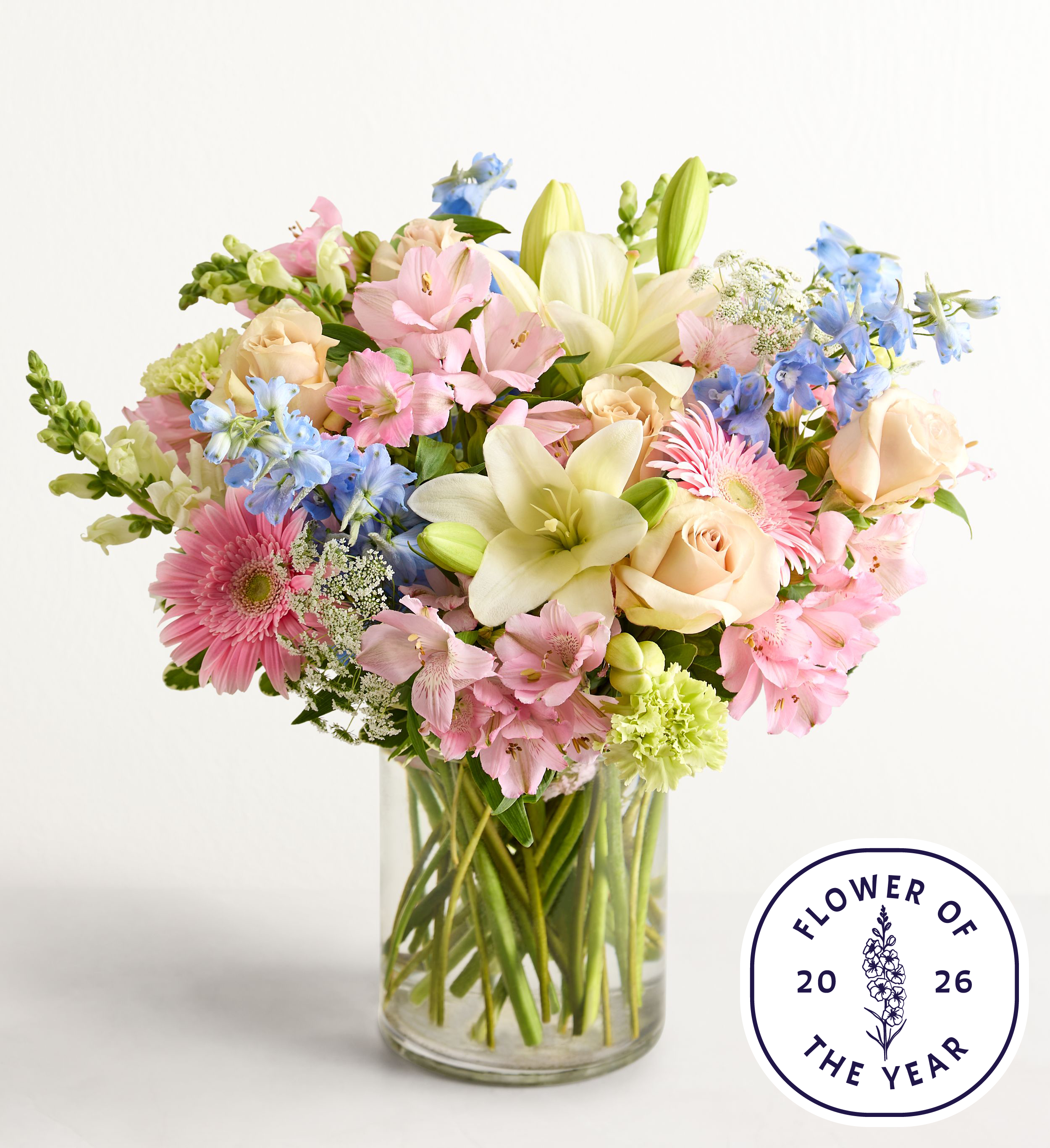 Delphinium Meadow™