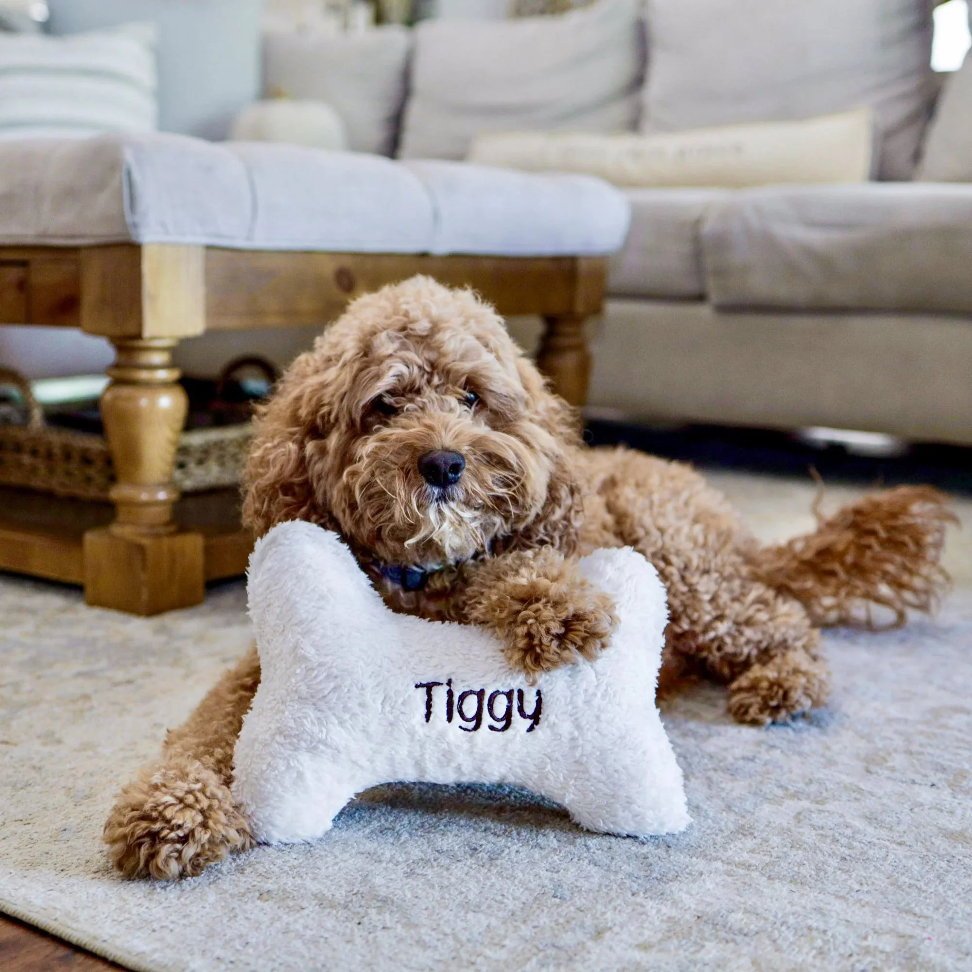 Personalized Dog Bone Pet Pillow