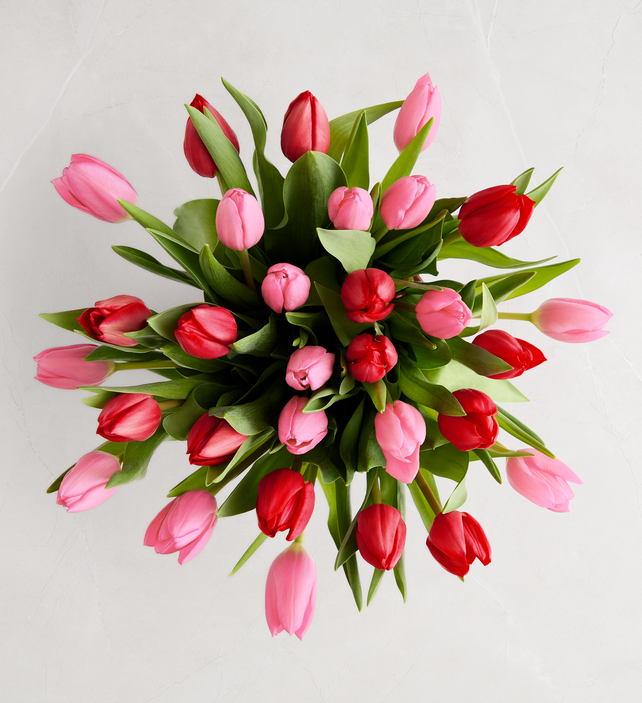 30 Stem Sweetest Love Tulips (Bouquet Only)