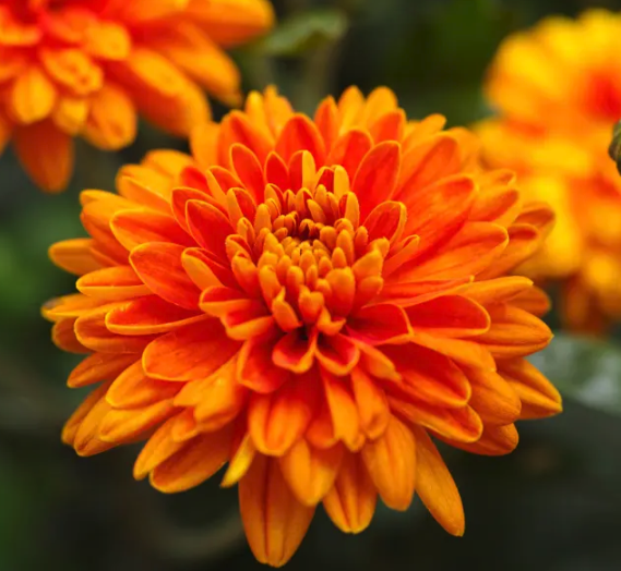 Screenshot 2024-03-07 at 12.16.26 PM.png