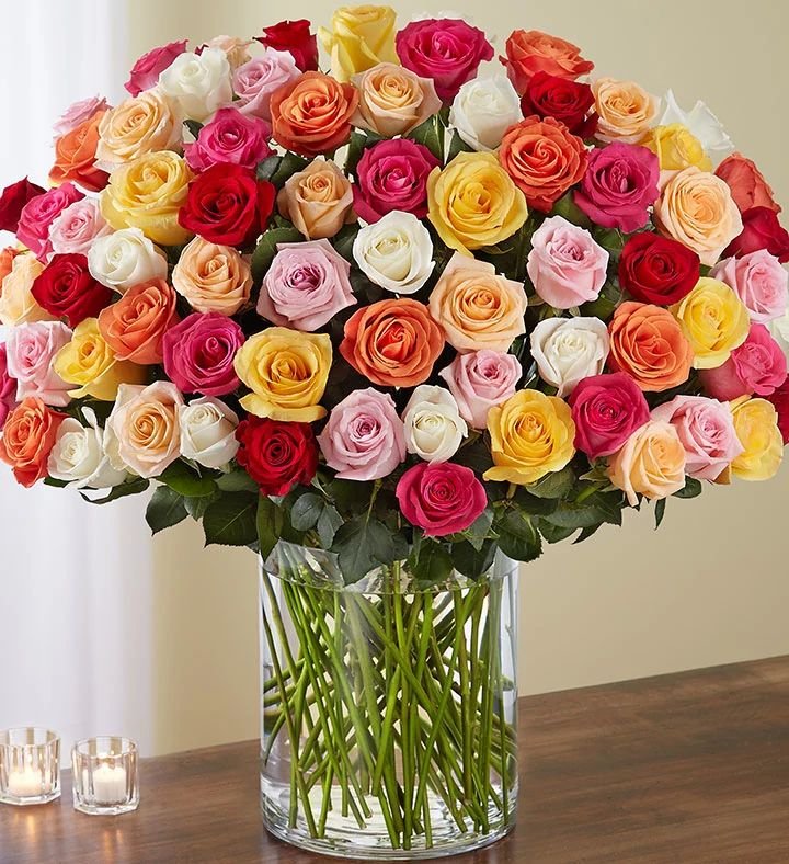 100 Premium Long Stem Assorted Roses