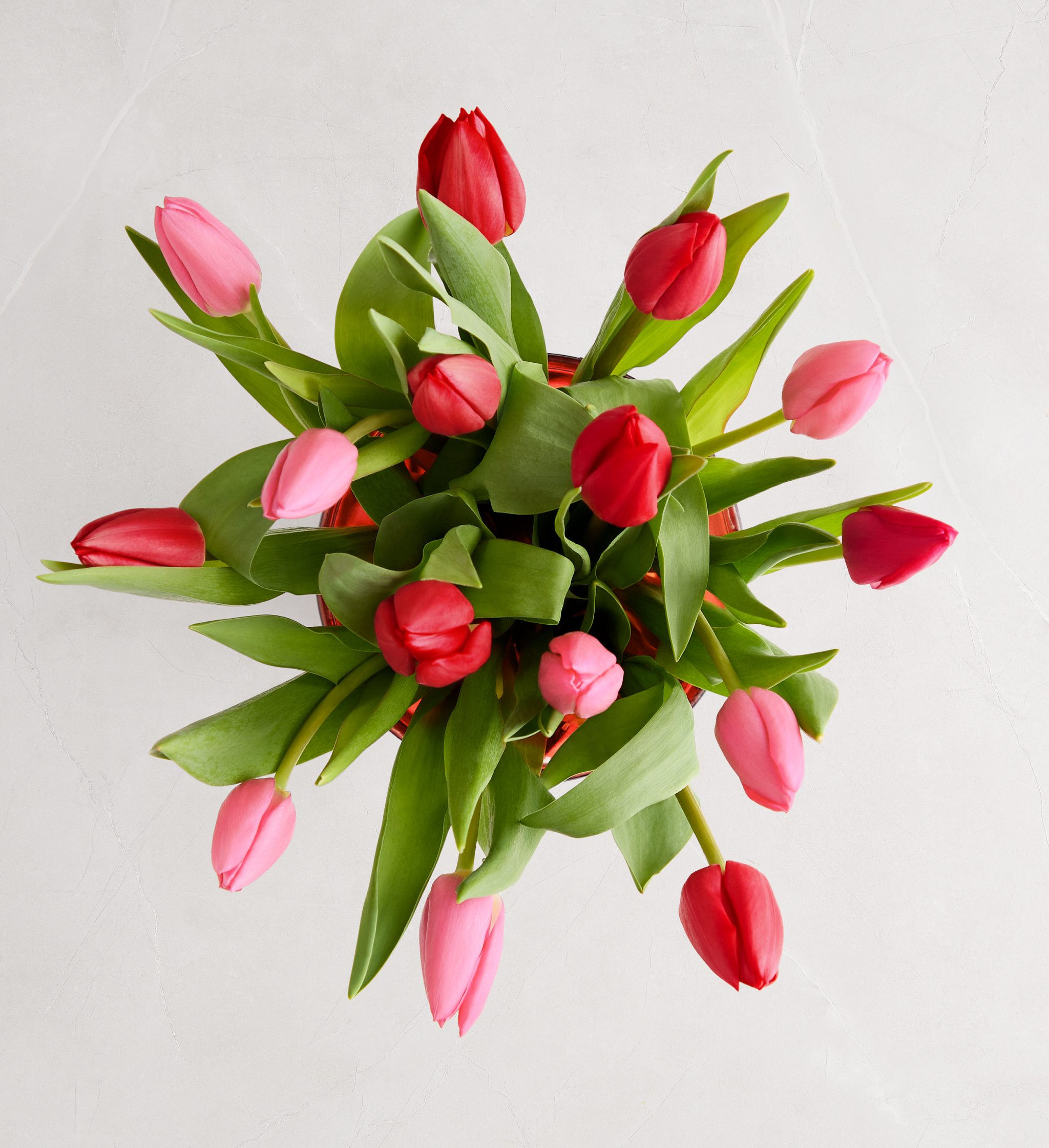 15 Stem Sweetest Love Tulips (Bouquet Only)
