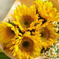 Screenshot 2024-03-11 at 1.04.14 PM.png