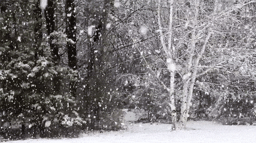 181794112578.gif