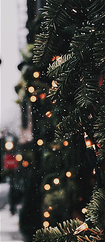 168856233773_1.gif