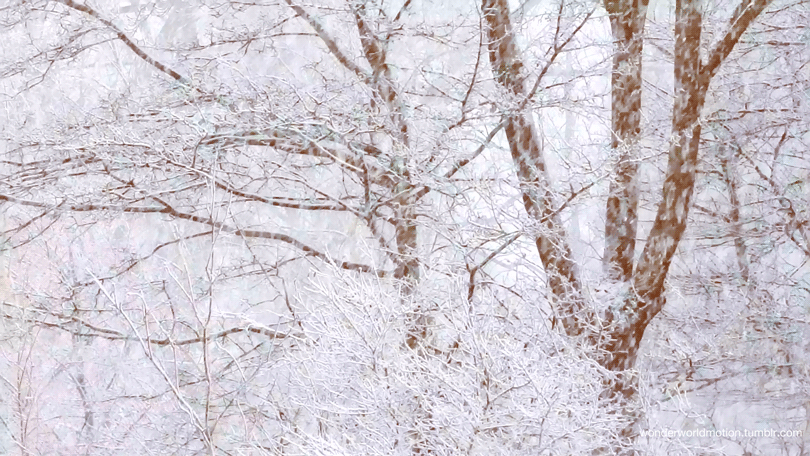 181503796332.gif