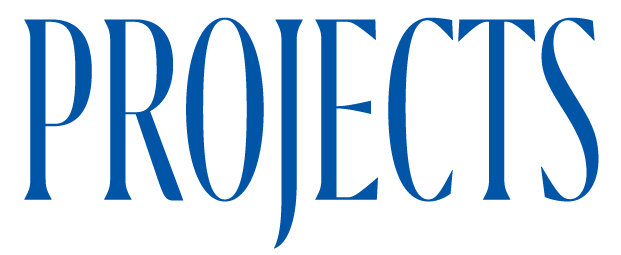 The word 'PROJECTS' written in large blue capital letters on a white background.