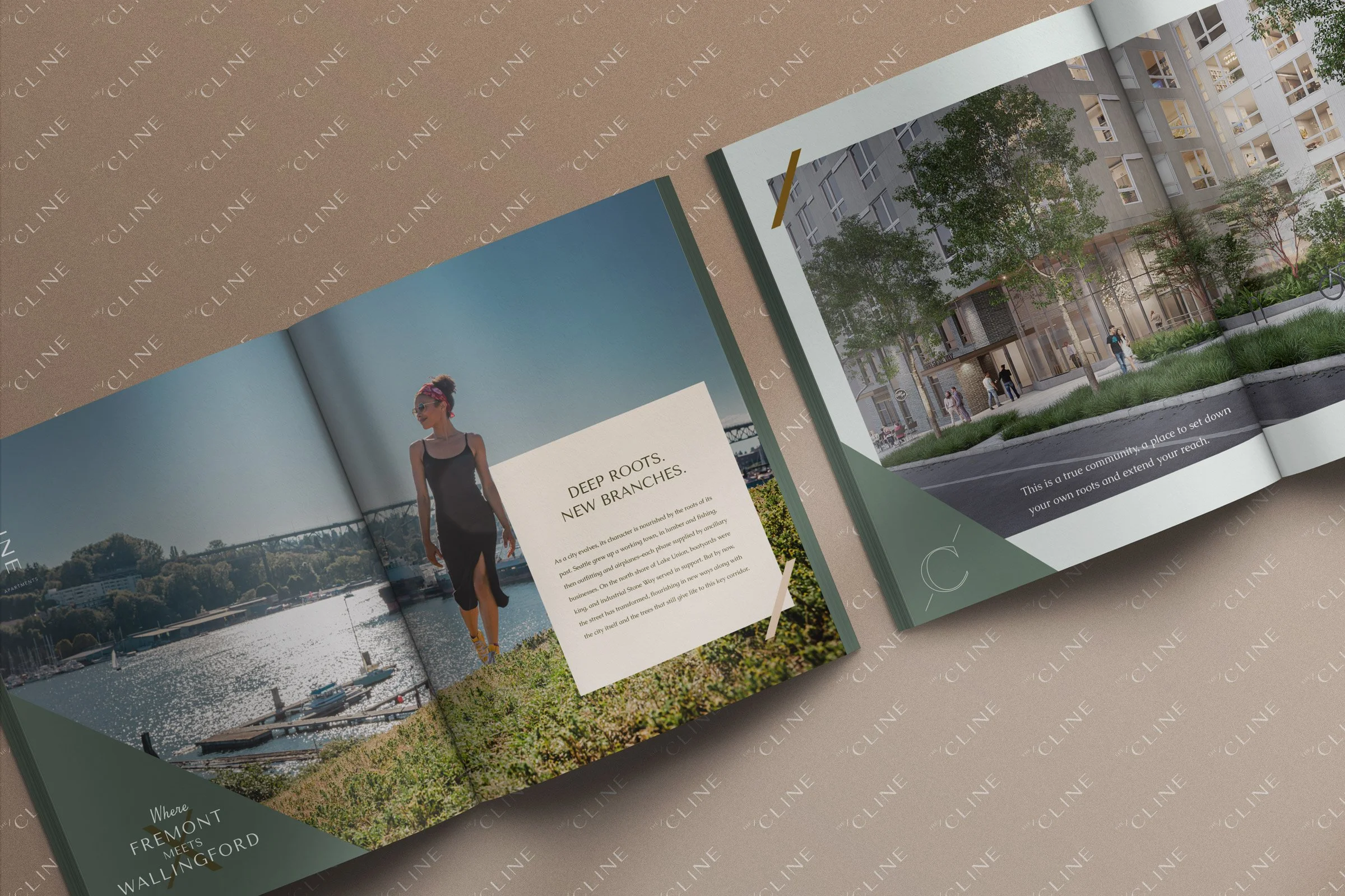 TheCline-BrochureDesignSpread.jpg