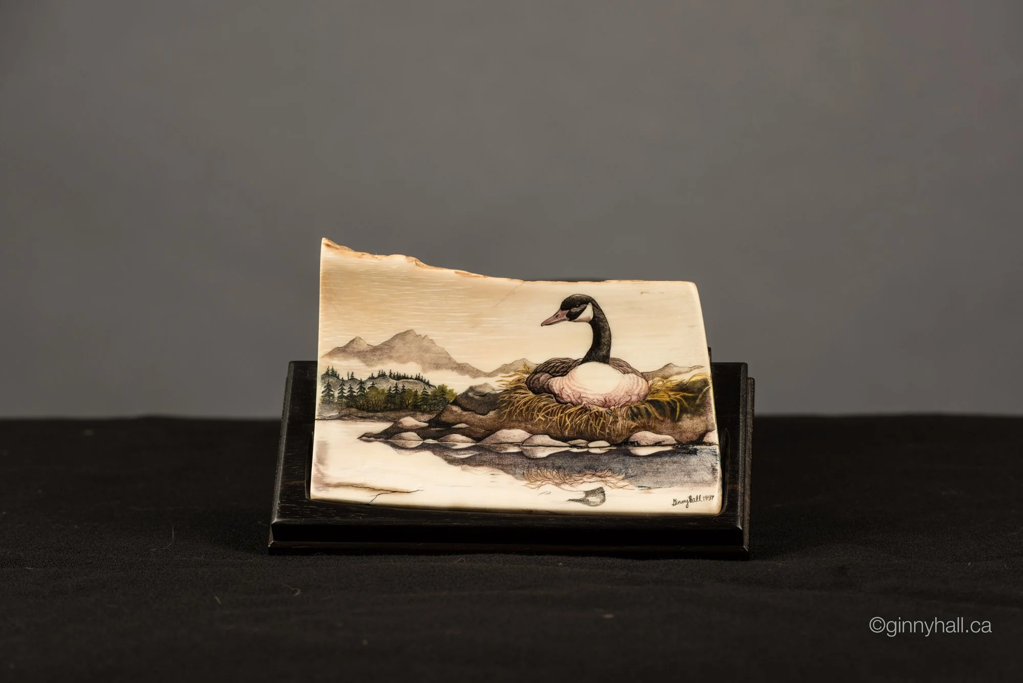 scrimshaw4-lg.jpg