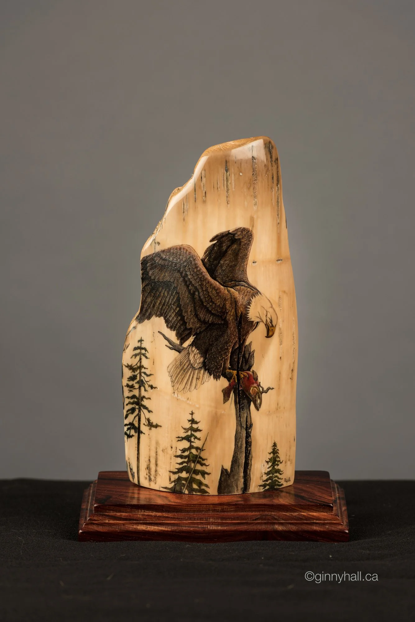 scrimshaw11-lg.jpg