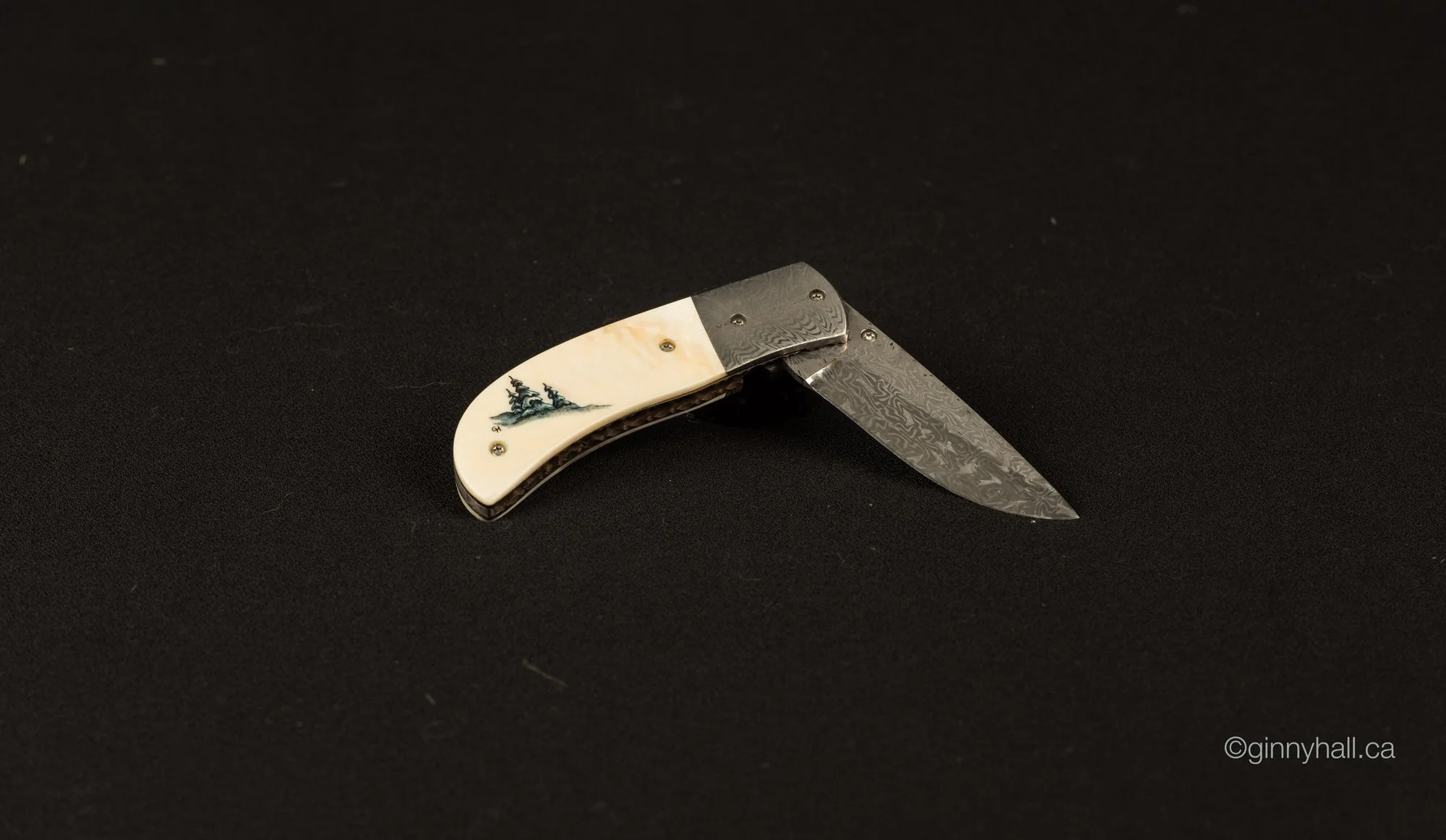 scrimshaw17-lg.jpg
