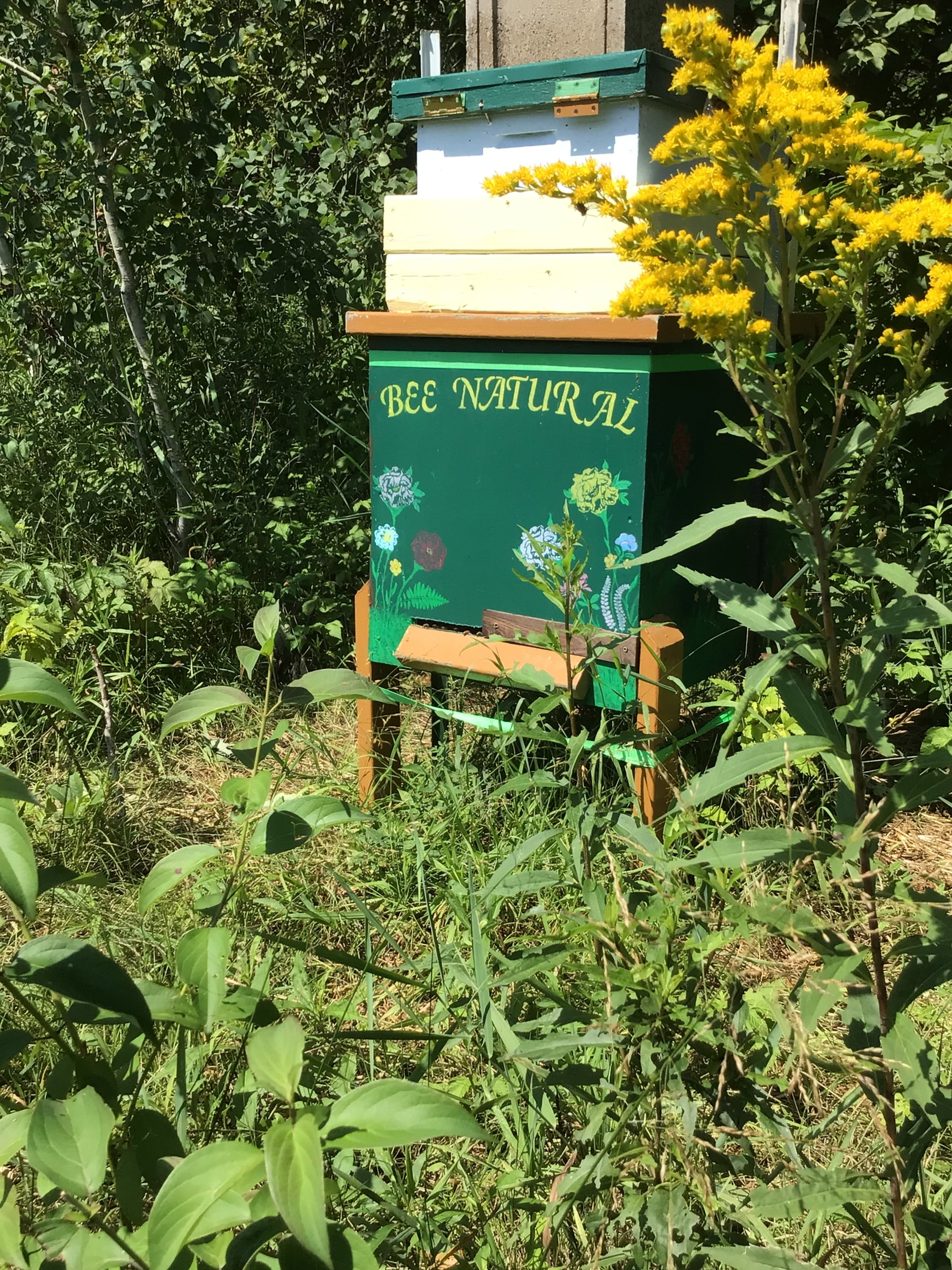 Adopt a Hive