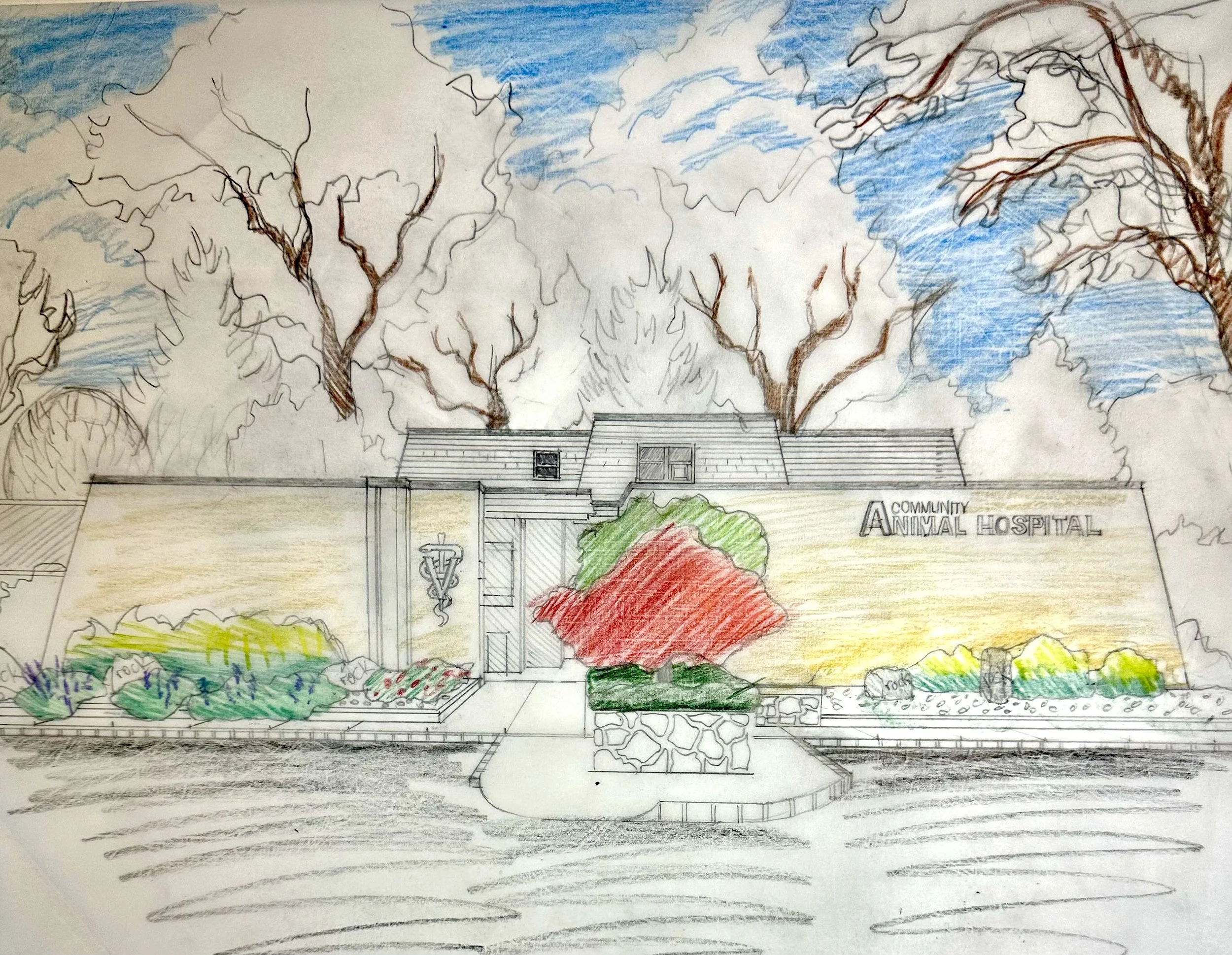 community animal hospital sketch.jpg