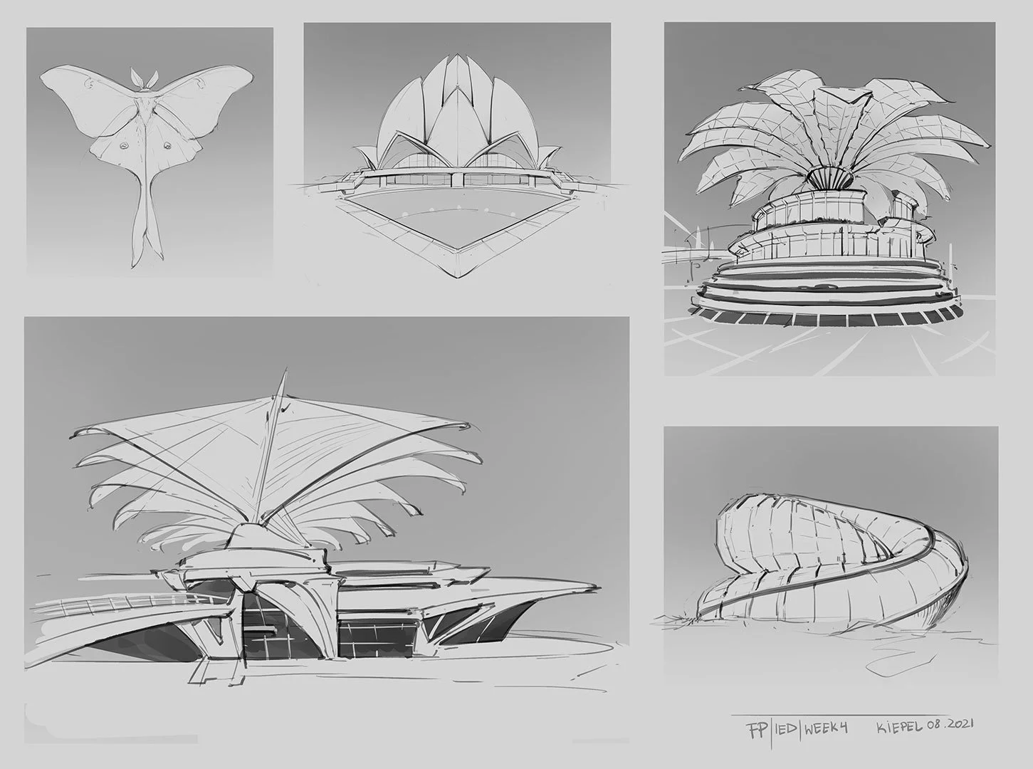 Intro to Environment Design — Focal Point School