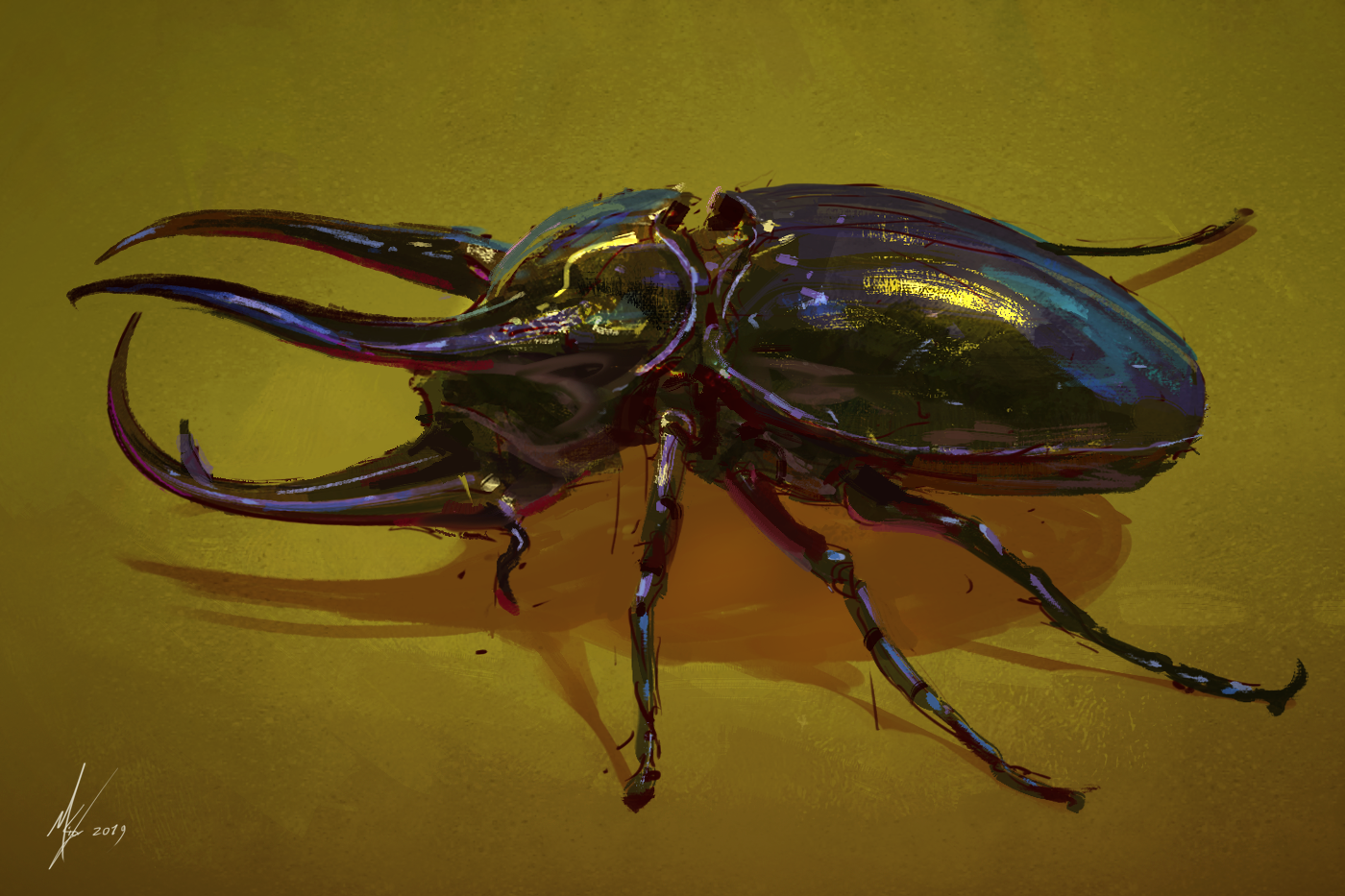 IDP_week6_beetle.png