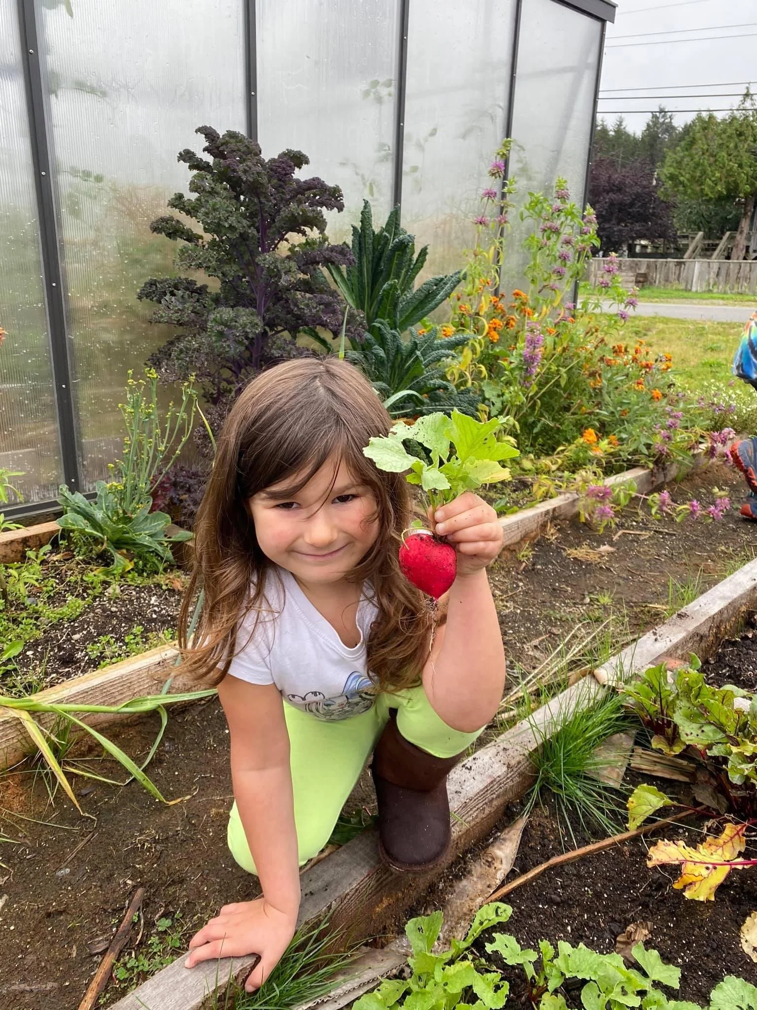 Amazon Fresh Funding Inspires Innovative Gardens