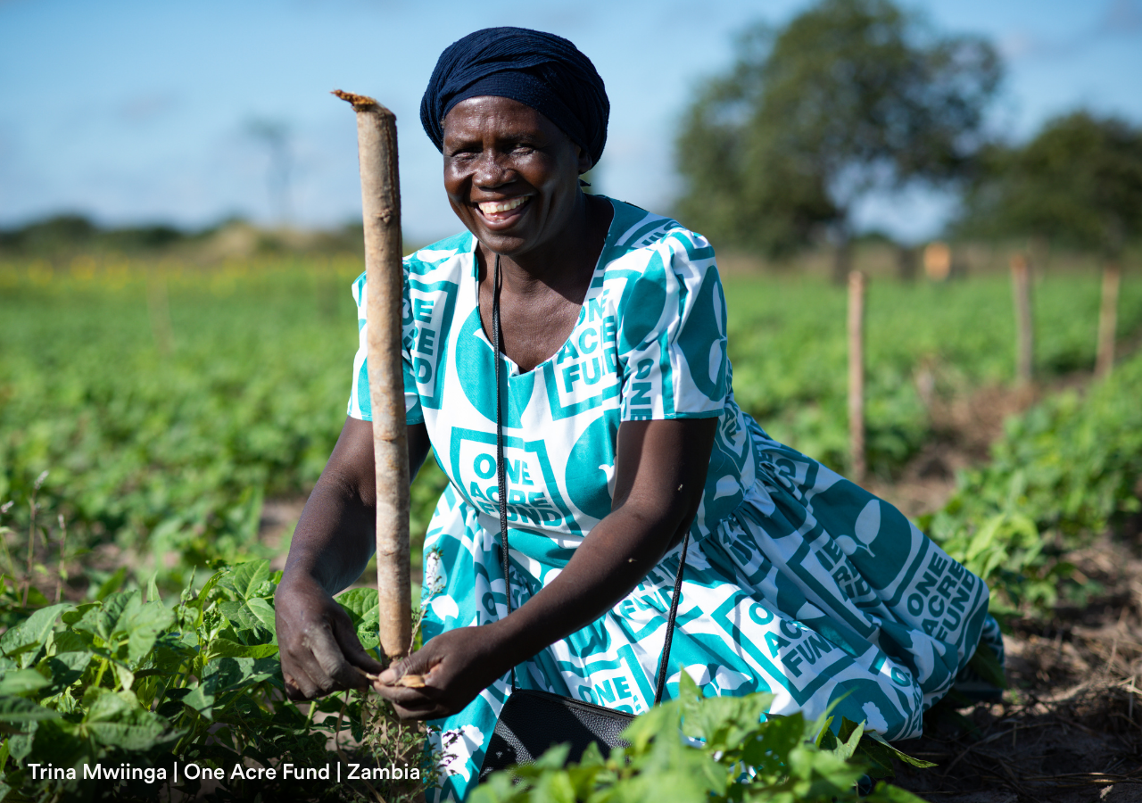 One Acre Fund | Zambia