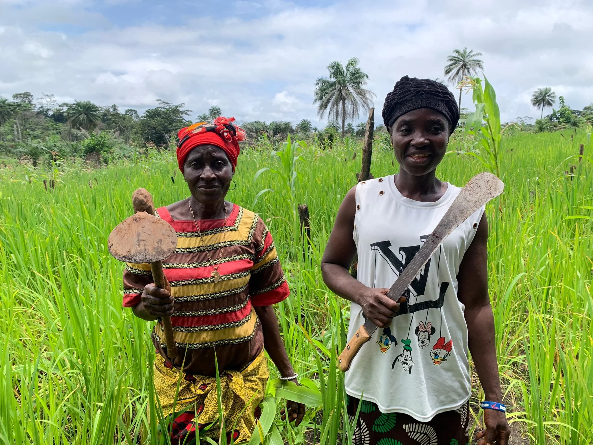 November 2025 Funding | $678,580