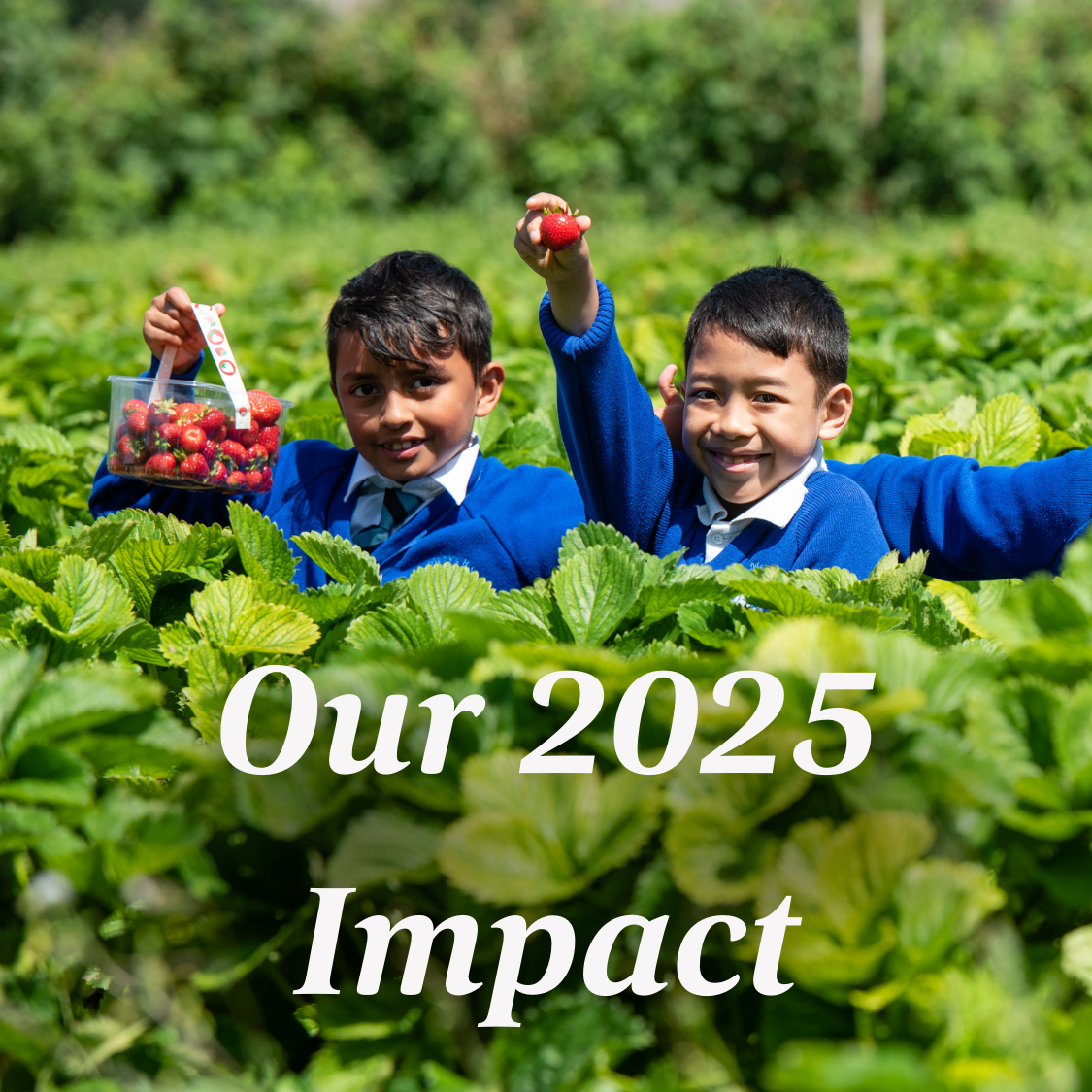 Growing Together to Create Lasting Change