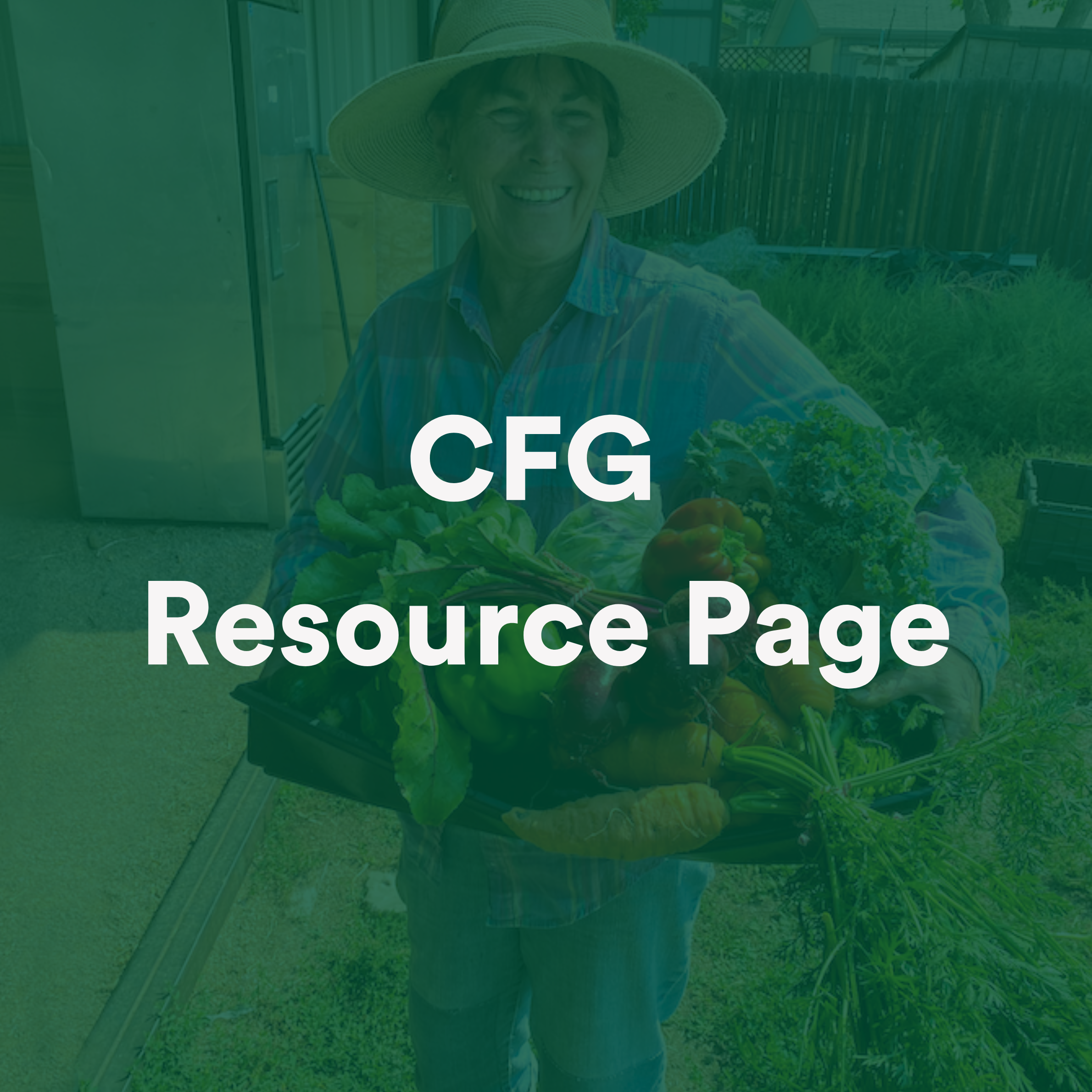 CFG Getting Started Webinar (3).png