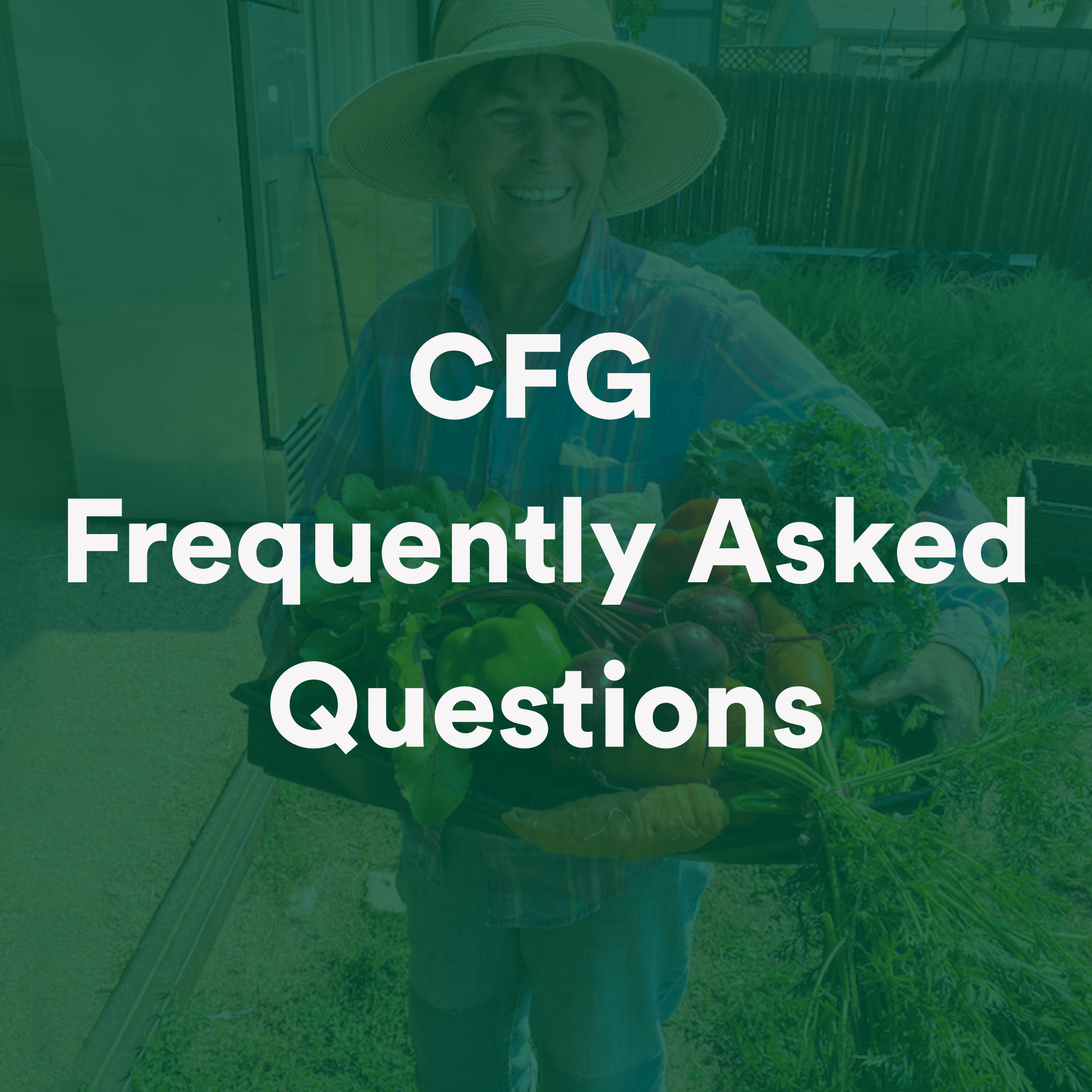 CFG FAQ's.png