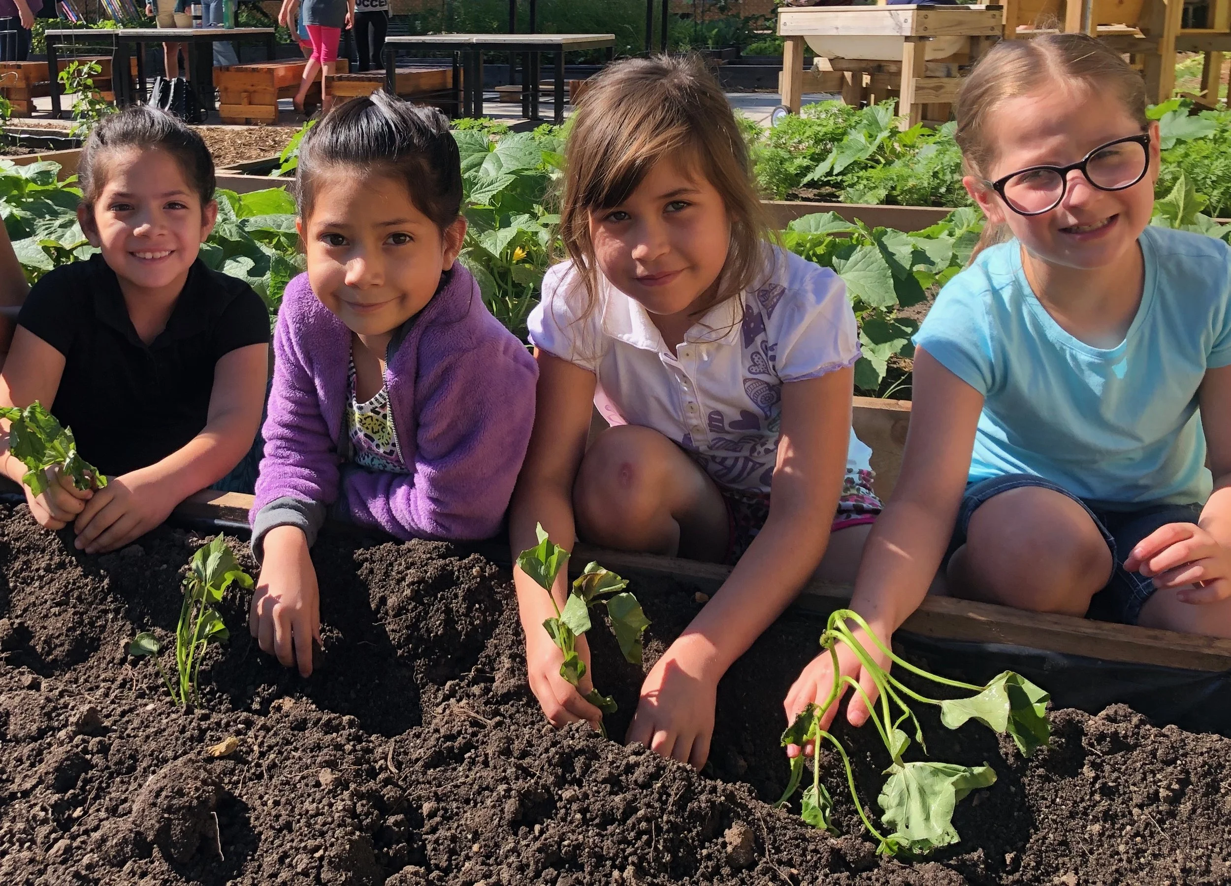 750 New Garden Grants Are Taking Root!