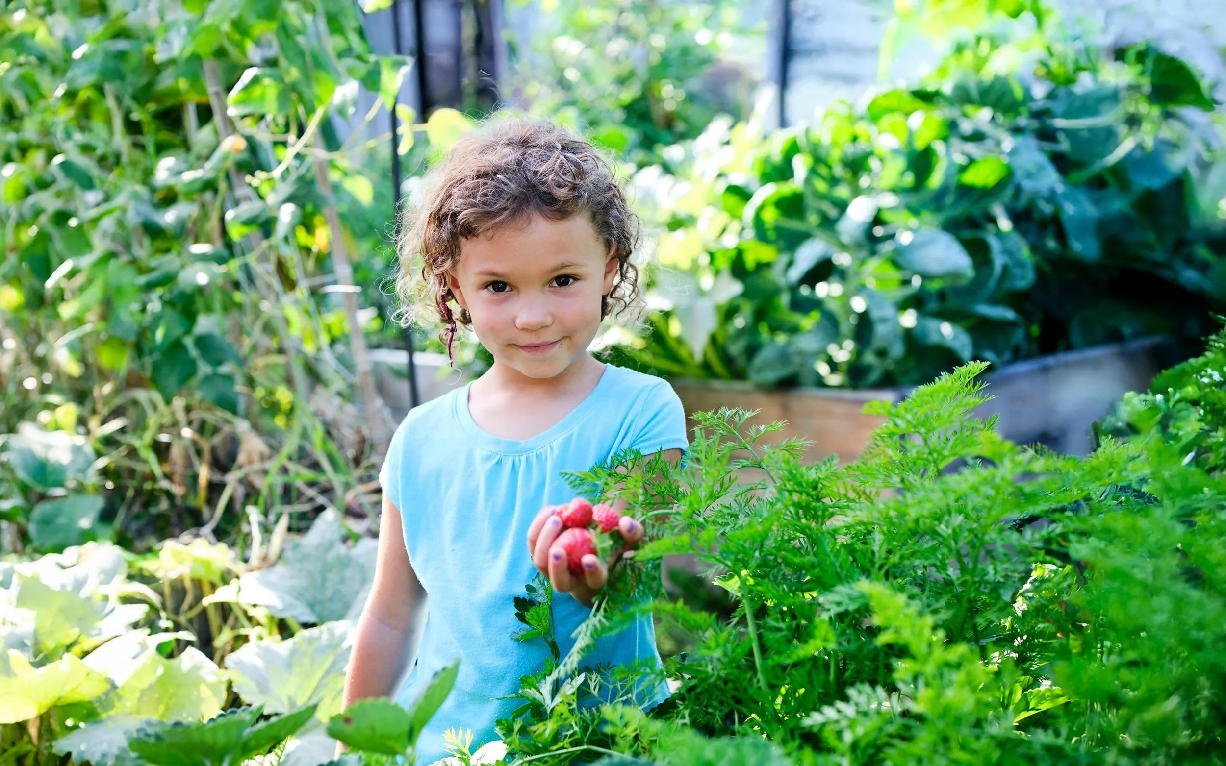 Whole Foods Market Foundation, Expanding Healthy Food Access: 2018–19 Grantees