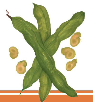 Whole Foods Market Foundation, Kid's Club: Better Bites Activity