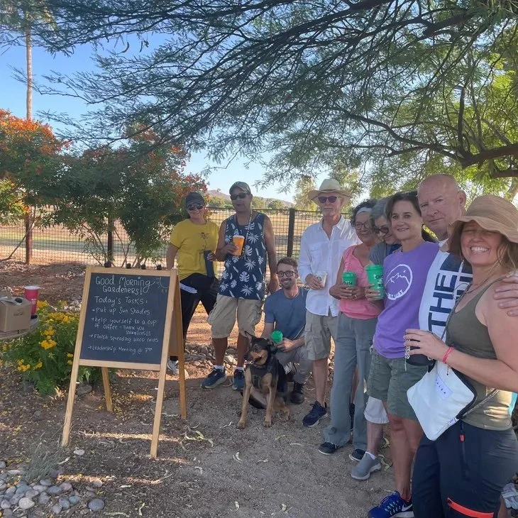Community Harvest Community Gardens 