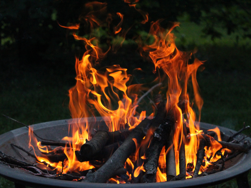 FORAGE & FIRE BUILDING