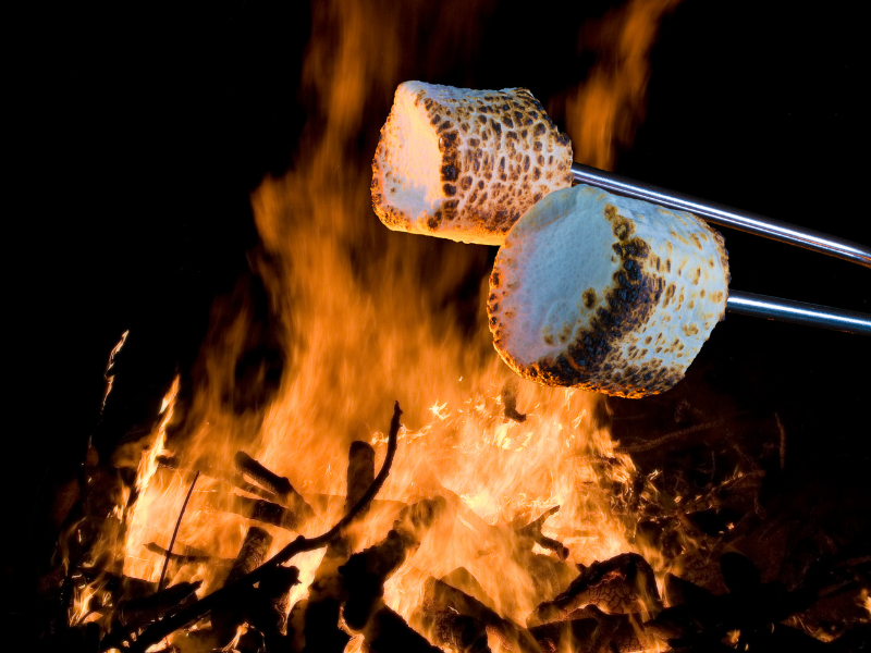 THE MONTHLY MINGLE | ROASTING S'MORES
