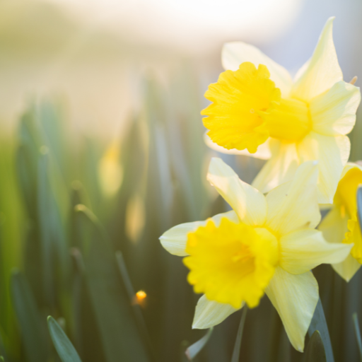 Spring Detox & Inflammation