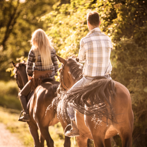 Horseback Riding Trip