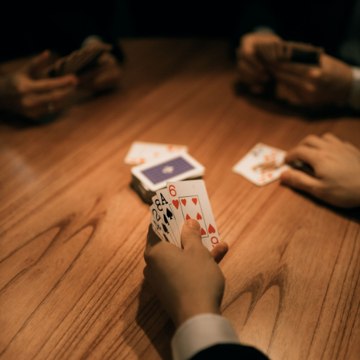 Euchre Learn & Play 
