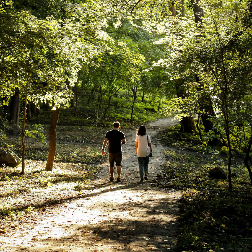 Self Care Sunday | Native Plants Scavenger Walk