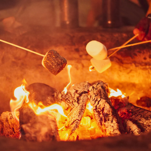 Campfire & Gourmet S'mores