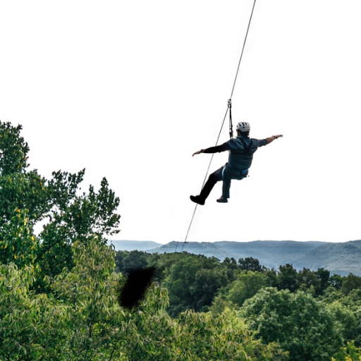 Zipline Adventure