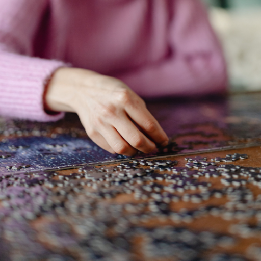 Speed Puzzling Competition