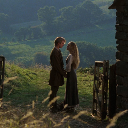 Backyard Movie | The Princess Bride